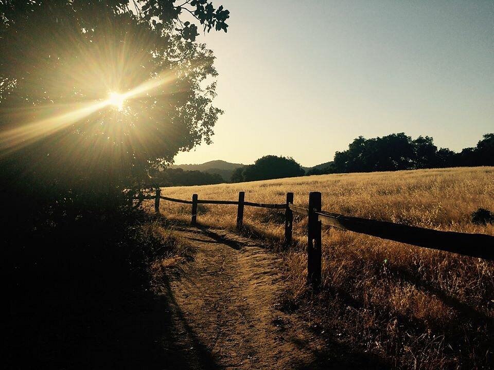 Topanga State Park